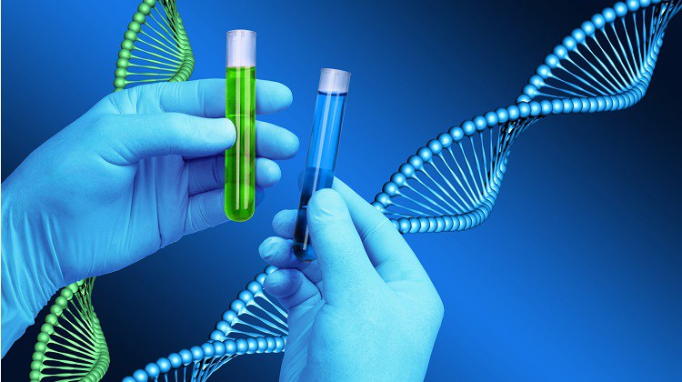 DNA TESTING MDADS WARREN MI